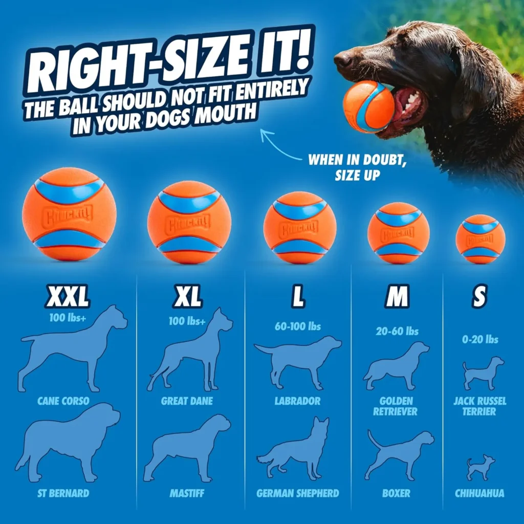 Pelota de goma para perros pelota más resistente para perros