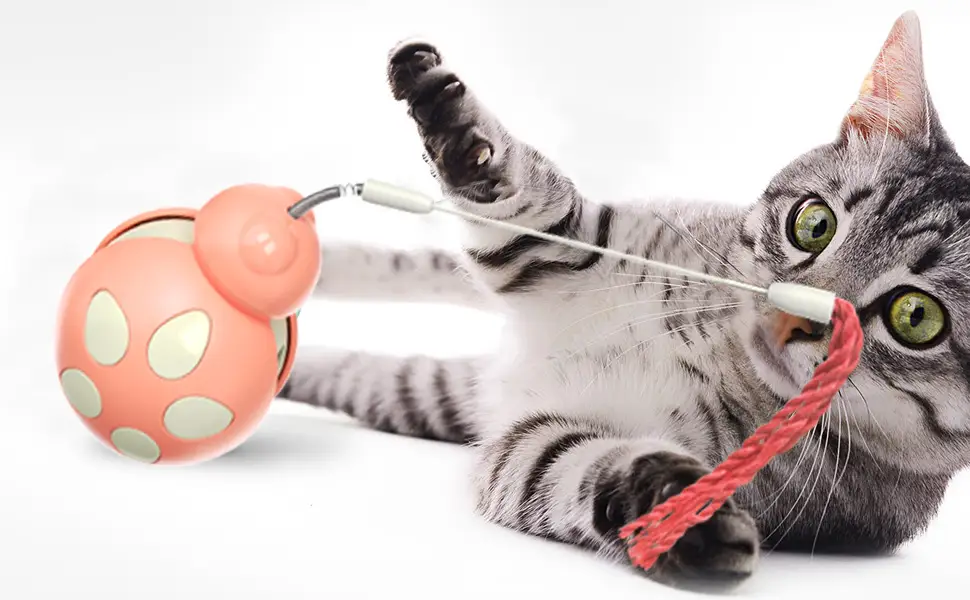 juguete interactivo para gatos