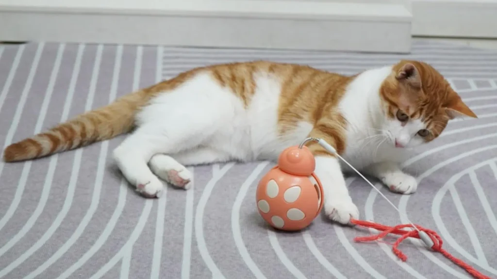 juguete interactivo para gatos