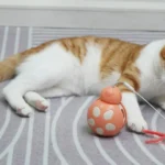 juguete interactivo para gatos